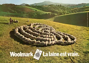 Woolmark la laine est vraie